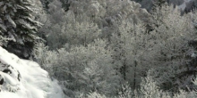 sarenne-hiver-2013